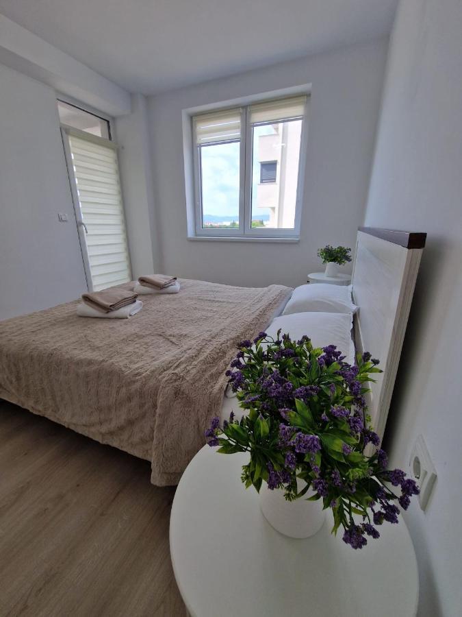 San Casa Apartment Sebes  Exterior photo